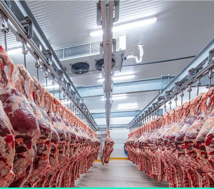 Cold storage facility